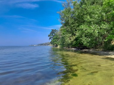 Baltık Denizi 'nin vahşi kıyıları. Puck Bay 'de. Seyahat ve güzellik doğada var..
