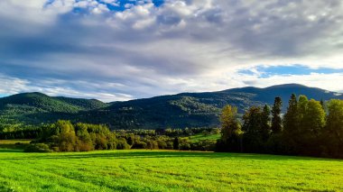 Polonya 'nın Bieszczady Dağları' ndaki yeşil çayır. Kuzey Karpatça.