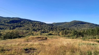 Bieszczady Dağları, Karpatian Dağları 'nın kuzey kesiminde yer alır. Doğanın güzelliği.