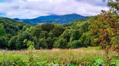 Bieszczady Dağları, Karpatian Dağları 'nın kuzey kesiminde yer alır. Doğanın güzelliği.