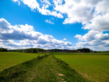 Orman ve çayırlar - Kazhubia 'nın Güzelliği, Kuzey Polonya. Seyahat ve doğa kavramı.