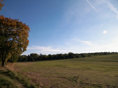 Yaz sonu - sonbahar ağaçları ve tarlalar. Polonya doğası. Mavi gökyüzündeki boşluğu kopyala. Mechelinki, Polonya.