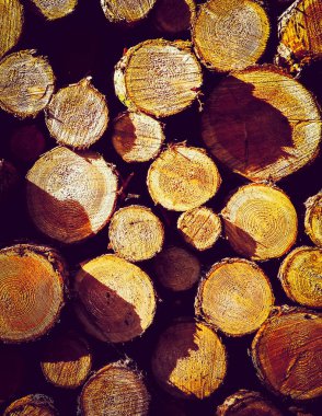 Ahşap kirişler doğal arka plan olarak kullanılıyor. Orman temizliği - Çevre koruma ve tarım kavramı.