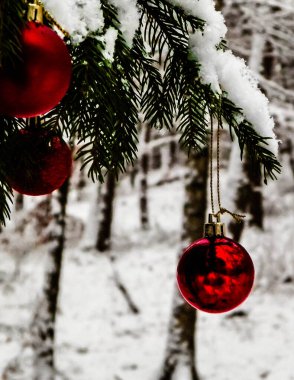 Ağaç dalında noel topu. Noel zamanı. Boşluğu kopyala.