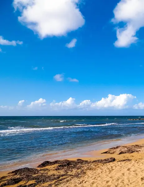 Kıbrıs Rum Kesimi 'nin Paphos kentindeki sahil ve Akdeniz kıyıları.