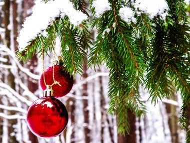 Noel balosu ağaçların üzerinde, ormanda, kış mevsiminde, Noel zamanı. Boşluğu kopyala.