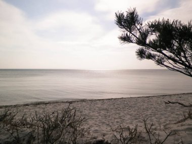 Hel Peninsula 'dan Baltık deniz kıyıları - Hel şehrine yakın plaj. Baltık Denizi ve Gdansk Körfezi 'nin güzel doğası. Seyahat ve doğa kavramı.