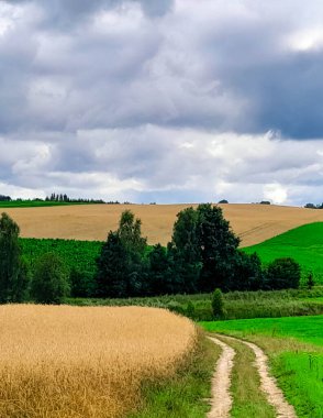 Fırtına geliyormuş. Kashubian çayırlarının üzerinde bulutlu bir gökyüzü. Saf doğa, Kuzey Polonya 'nın güzel manzarası. Pomeranya 'daki Kashyubia Bölgesi.