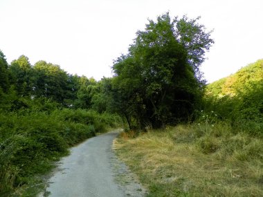 Makedonya 'nın Galiçya doğal parkının egzotik doğası. Doğa konsepti.