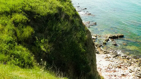 Karadeniz kıyısındaki kayalıklarda yeşil çimenler. Romanya 'nın Dobrogea bölgesinin Vama Veche kentindeki kayalıkların manzarası ve plajlar. Doğa ve seyahat kavramı.