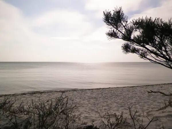 Hel Peninsula 'dan Baltık deniz kıyıları - Hel şehrine yakın plaj. Baltık Denizi ve Gdansk Körfezi 'nin güzel doğası. Seyahat ve doğa kavramı.