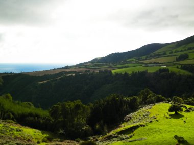 Tipik Azores manzarası. Arka planda doğal yeşil arazi tepeleri ve deniz. Doğanın güzelliği konsepti.