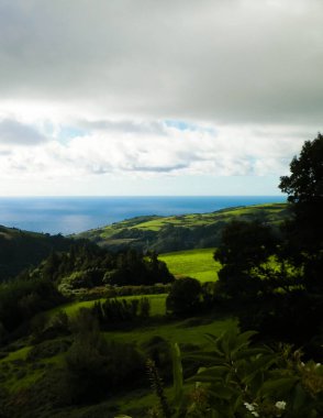 Tipik Azores manzarası. Arka planda doğal yeşil arazi tepeleri ve deniz. Doğanın güzelliği konsepti.