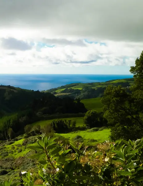 Tipik Azores manzarası. Arka planda doğal yeşil arazi tepeleri ve deniz. Doğanın güzelliği konsepti.