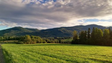 Polonya 'nın Bieszczady Dağları' ndaki yeşil çayır. Kuzey Karpatça.