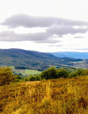 Bieszczady Dağları, Karpatian Dağları 'nın kuzey kesiminde yer alır. Doğanın güzelliği.