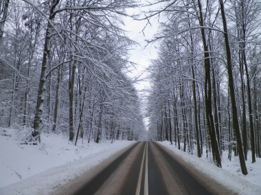 Karla kaplı bir ormandan geçen yol. Wiezyca Polonya. Kötü yol koşulları.