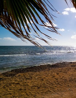 Paphos City yakınlarındaki tropik plaj, Kıbrıs adası. Boşluğu mavi gökyüzünde kopyala - bir kartpostal için iyi bir arkaplan.