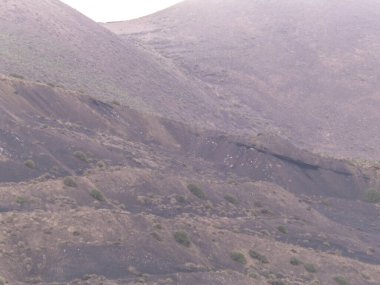 Lanzarote adasının kuzeyindeki dağ manzarası. Lanzarote adasının güzel, vahşi, tropikal doğası. Vahşi bitki örtüsü ve keşif konsepti.