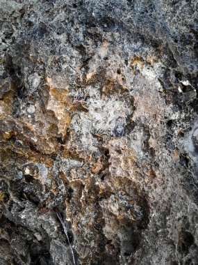 Doğal bir arka plan olarak kıyı kayaları ve deniz suyu. Boşluğu kopyala.