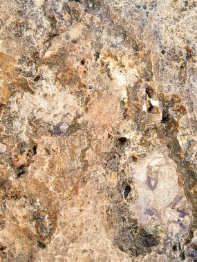 Doğal bir arka plan olarak kıyı kayaları ve deniz suyu. Boşluğu kopyala.