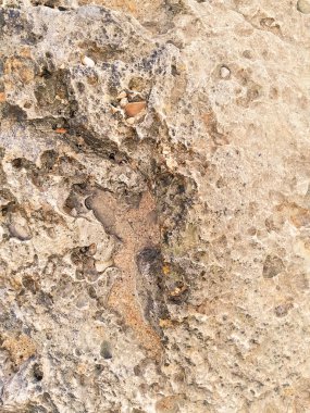 Doğal bir arka plan olarak kıyı kayaları ve deniz suyu. Boşluğu kopyala.