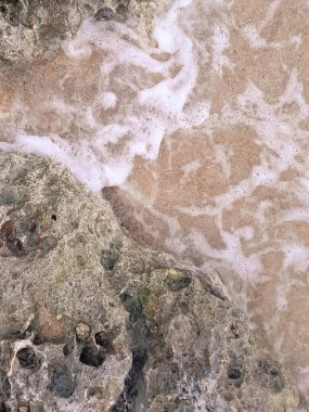 Doğal bir arka plan olarak kıyı kayaları ve deniz suyu. Boşluğu kopyala.