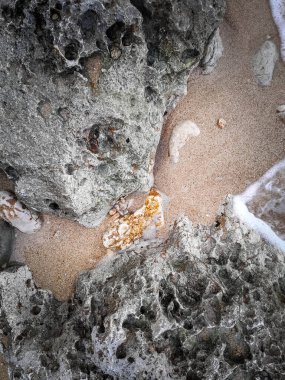 Doğal bir arka plan olarak kıyı kayaları ve deniz suyu. Boşluğu kopyala.