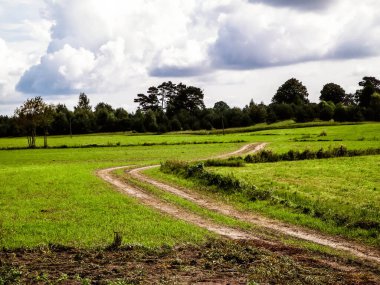 Kashubian kırsalındaki yeşil arazide. Polonya. Doğa ve tarım kavramı. Bulutlu gökyüzünde uzayı kopyala.