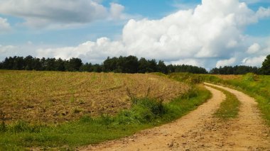 Kashubian kırsalındaki köy yolu. Polonya. Doğa ve tarım kavramı. Bulutlu gökyüzünde uzayı kopyala.