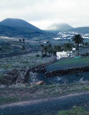 Haria şehri ve çevresi doğayla çevrili. Haria, Lanzarote adasının kuzeyinde yer alan bir şehirdir ve 