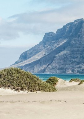 Plaj ve Dağlar - Caleta de Famara 'nın güzel kıyıları, Lanzarote Kanarya Adaları. Caleta de Famara 'daki plaj sörfçüler arasında çok popüler..