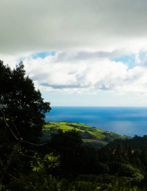 Tipik Azores manzarası. Arka planda doğal yeşil arazi tepeleri ve deniz. Doğanın güzelliği konsepti.