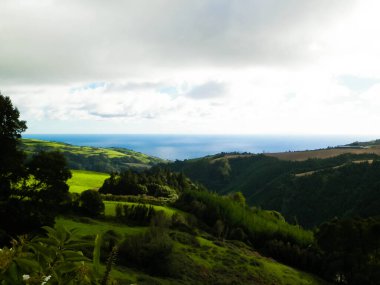 Tipik Azores manzarası. Arka planda doğal yeşil arazi tepeleri ve deniz. Doğanın güzelliği konsepti.