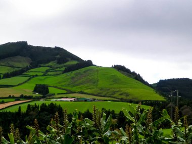 Sao Miguel Adası 'nın tipik manzarası. Yeşil tepeler ve yağmurlu hava. Azores 'in saf egzotik ve güzel doğası..