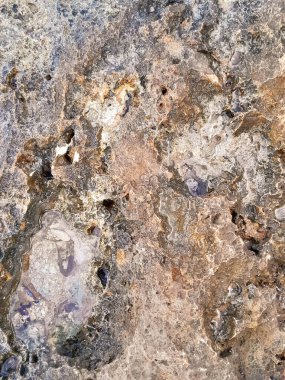 Doğal bir arka plan olarak kıyı kayaları ve deniz suyu. Boşluğu kopyala.