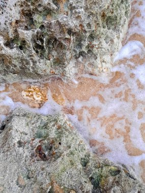 Doğal bir arka plan olarak kıyı kayaları ve deniz suyu. Boşluğu kopyala.