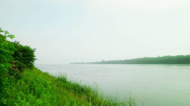 Vistula 'nın haliçleri Sobieszewska adasından görüldü. Kuzey Polonya 'nın doğası.