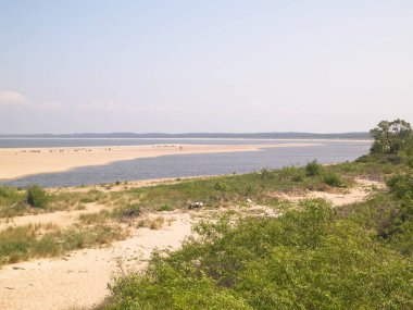 Sobieszewska Adası 'ndaki Baltık Denizi Kıyısı. Vistula Nehri 'nin kıyısında. Kuzey Polonya 'nın doğası.