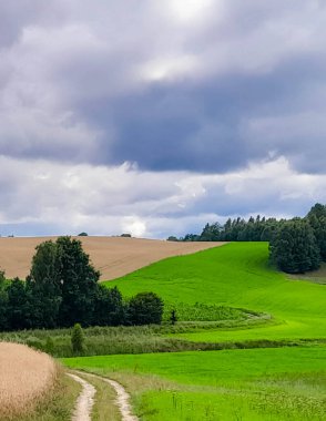 Fırtına geliyormuş. Kashubian çayırlarının üzerinde bulutlu bir gökyüzü. Saf doğa, Kuzey Polonya 'nın güzel manzarası. Pomeranya 'daki Kashyubia Bölgesi.