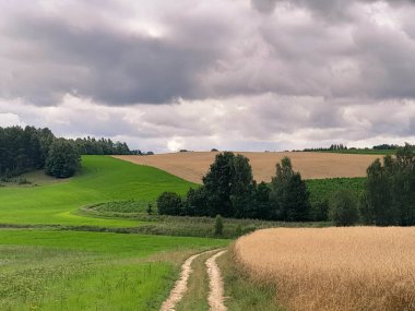 Fırtına geliyormuş. Kashubian çayırlarının üzerinde bulutlu bir gökyüzü. Saf doğa, Kuzey Polonya 'nın güzel manzarası. Pomeranya 'daki Kashyubia Bölgesi.