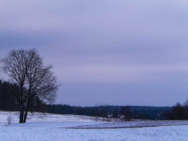 Kashubian çayırlarında kış, Polonya doğası. Kış mevsimi konsepti, bulutlu gökyüzünde kopya alanı.