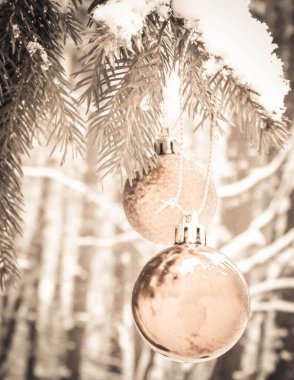 Ladin ağacının dalında kırmızı noel topları. Mavi arkaplanda boşluk kopyala.