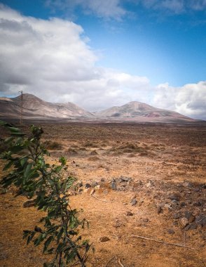 Çöl ve dağlar Lanzarote adasının tipik bir manzarasıdır. Kanarya Adaları takımadaları.