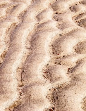 Deniz kıyısı doğa arka planıdır. Boşluğu kopyala.