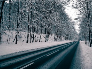 Road across forest in Wiezyca. Winter season in northern Poland. Transport and nature concept.
