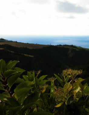 Sao Miguel Adası 'nın tipik manzarası. Yeşil tepeler ve yağmurlu hava. Azores 'in saf egzotik ve güzel doğası..