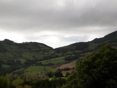 Azores adaları Sao Miguel 'in vahşi doğası. Dağlar, otlaklar, çayırlar ve tropikal ormanlar. Azores Portekiz 'in otonom bölgesi olan küçük bir takımadalardır..