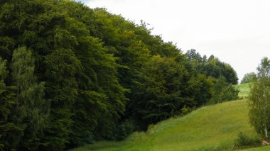 Green hills and forest - landscape of Kashubian Region, Poland. Travel and nature concept.