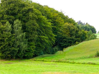 Green hills and forest - landscape of Kashubian Region, Poland. Travel and nature concept.